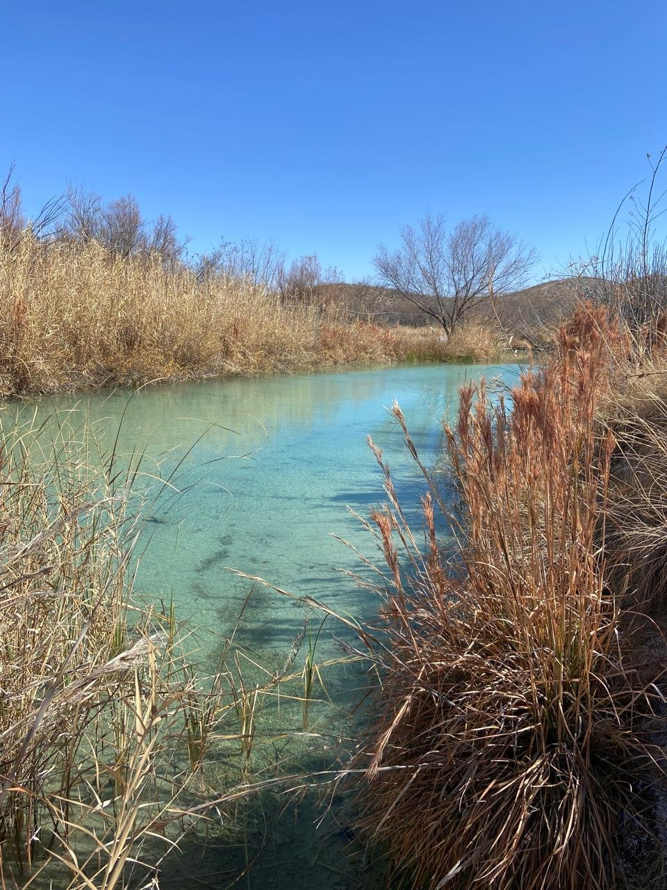 Sitio RAMSAR Reserva del Cachorrito de Julimes